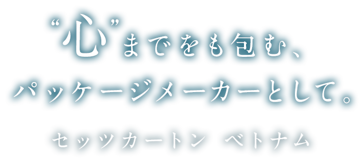 セッツカートン 無地ダンボール厚手 No.3-1(底面A3)30枚 - 1