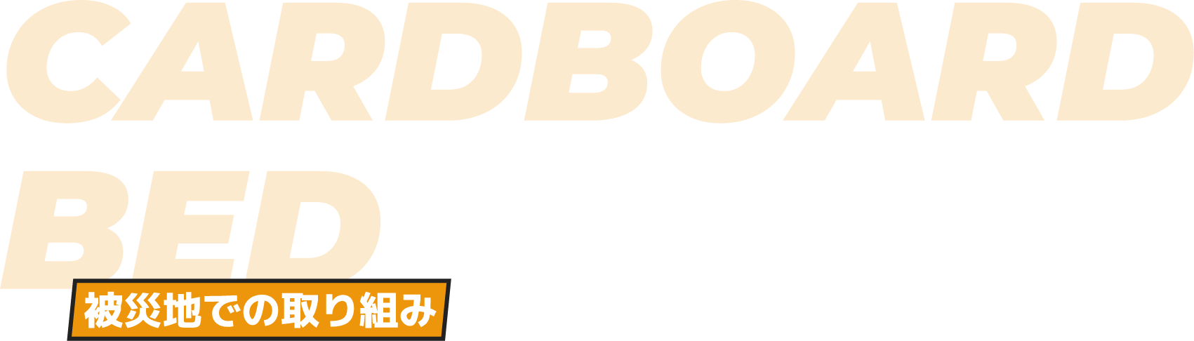 被災地での取り組み
